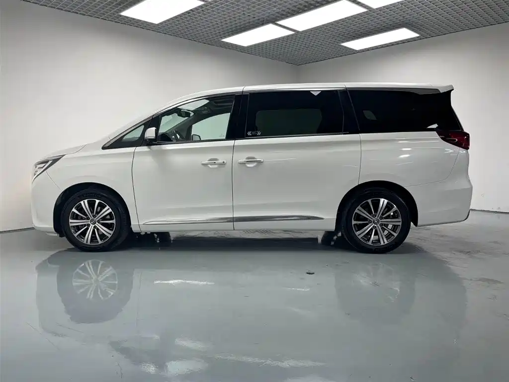 Trumpchi M8 2019 320T Extreme Edition купить на сайте DeffCars