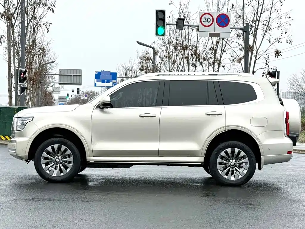 Tank 500 2022 model 3.0T sports version, environment type, 5 seats купить на сайте DeffCars