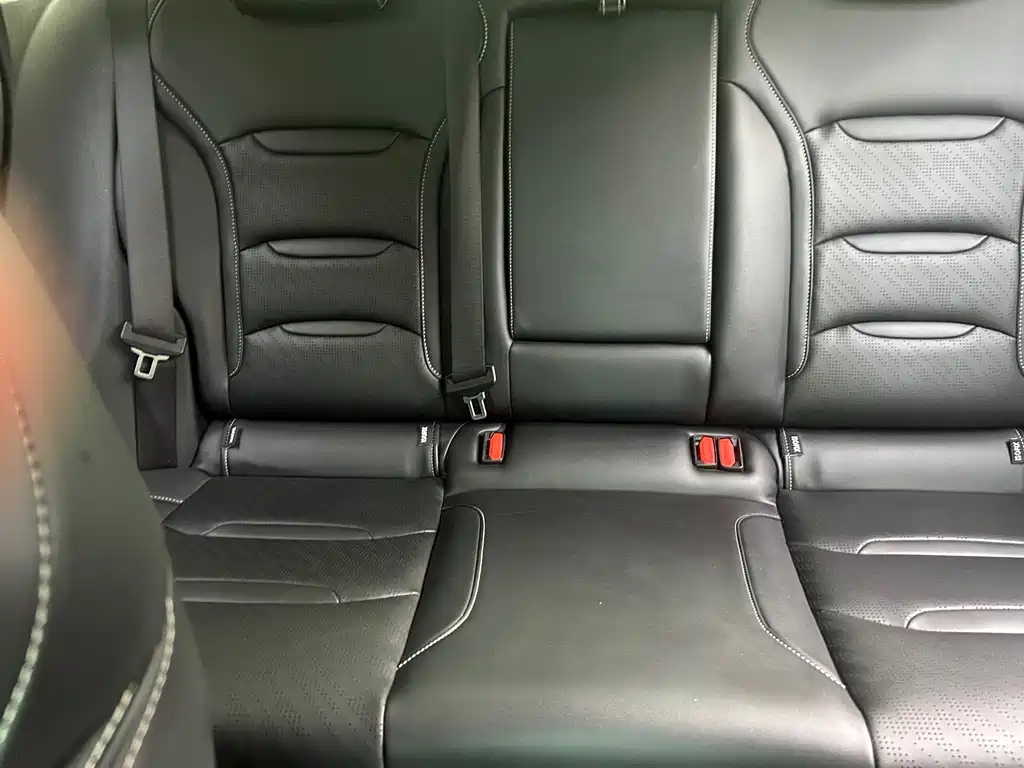 Xingrui (Preface) 2021 2.0TD luxury model купить на сайте DeffCars