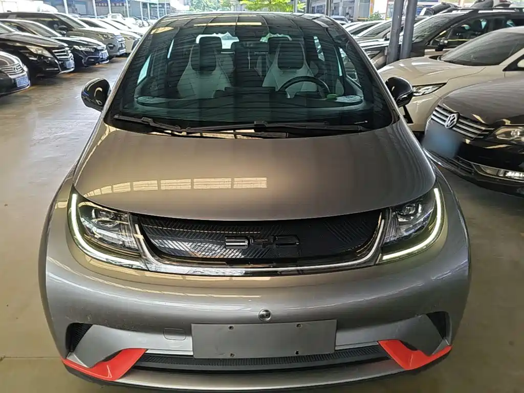 Dolphin 2021 405km Fashion Edition купить на сайте DeffCars