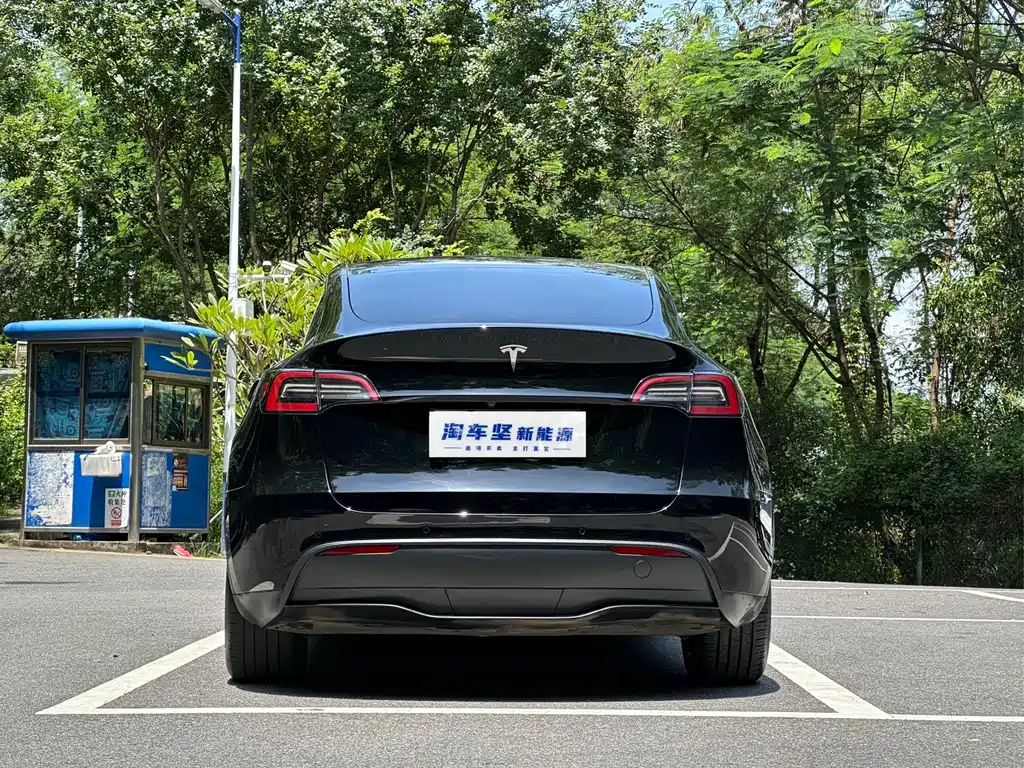 Model Y 2023 rear-wheel drive version купить на сайте DeffCars