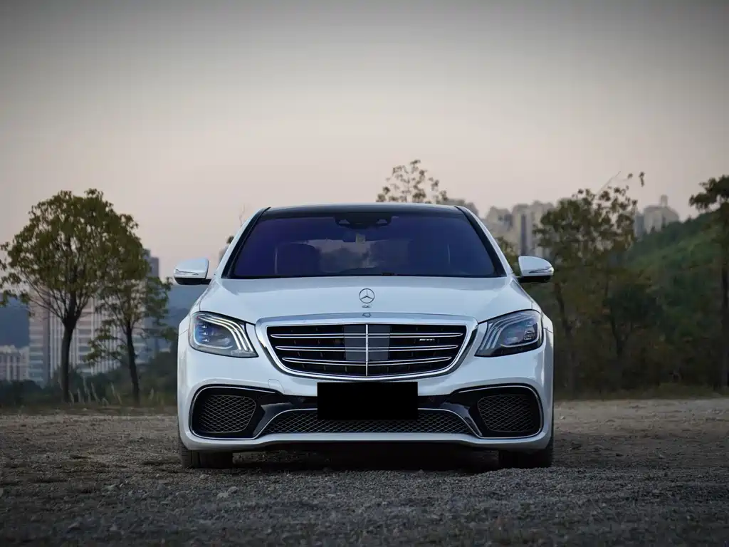 Mercedes-Benz S-Class AMG 2014 AMG S 65 L купить на сайте DeffCars
