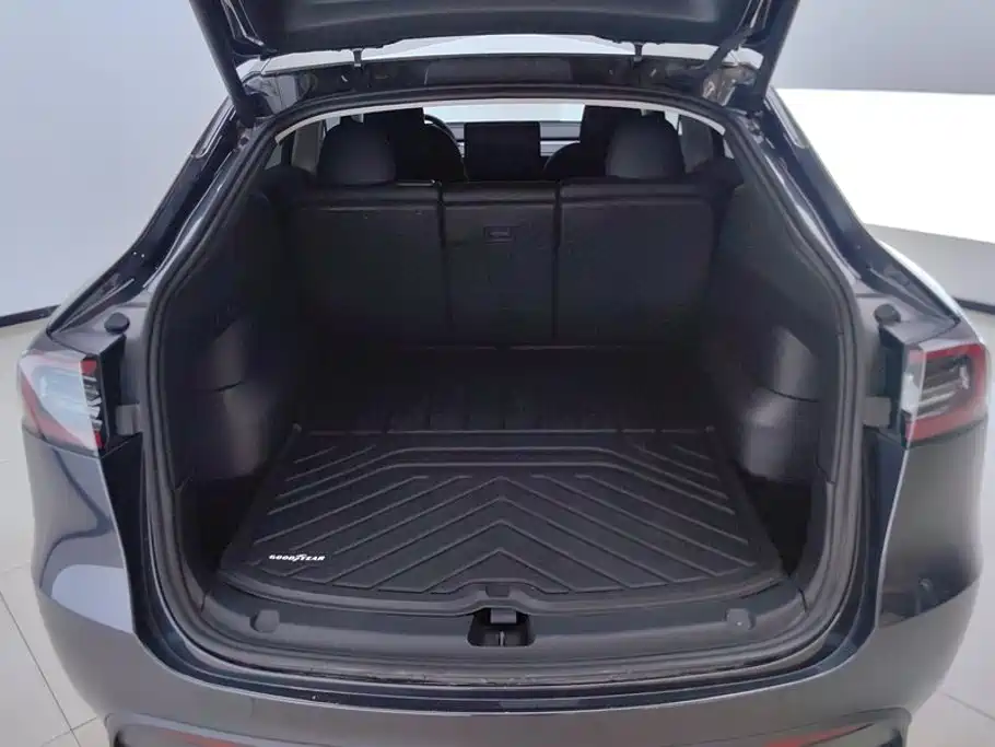 Model Y 2024 rear-wheel drive version купить на сайте DeffCars