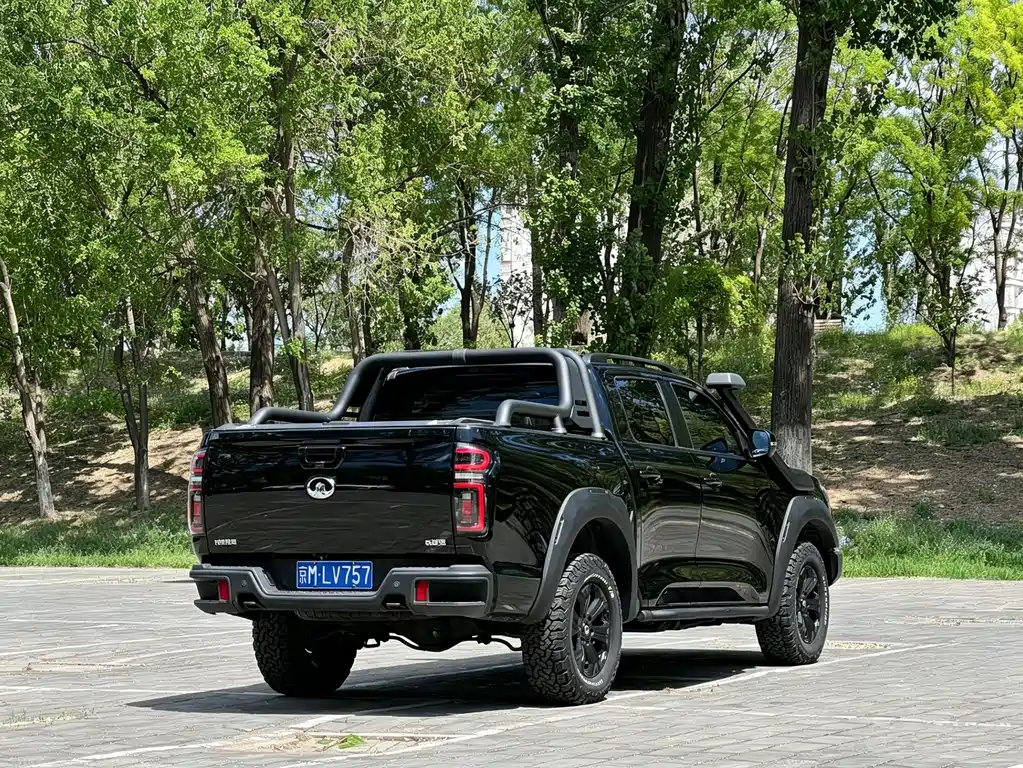 Cannon 2020 2.0T off-road version automatic gasoline four-wheel drive limited edition GW4C20B купить на сайте DeffCars