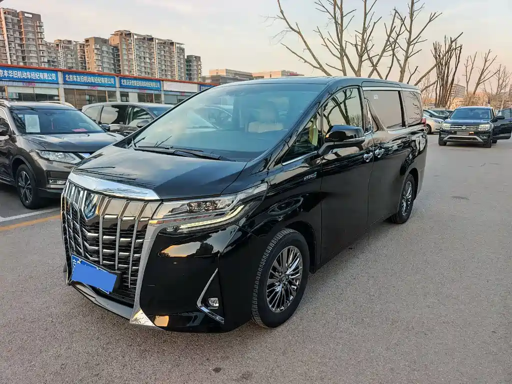Alfa 2020 Shuangqing 2.5L Premium Edition купить на сайте DeffCars