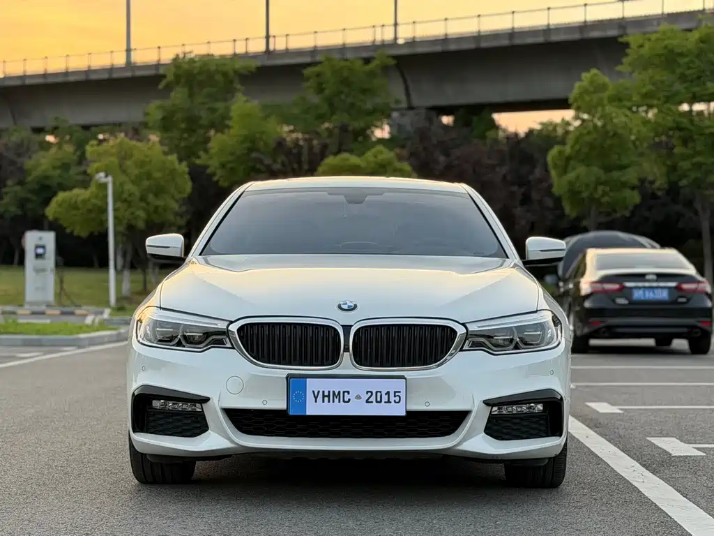 BMW 5 Series 2018 530Li Exclusive M Sports Package купить на сайте DeffCars