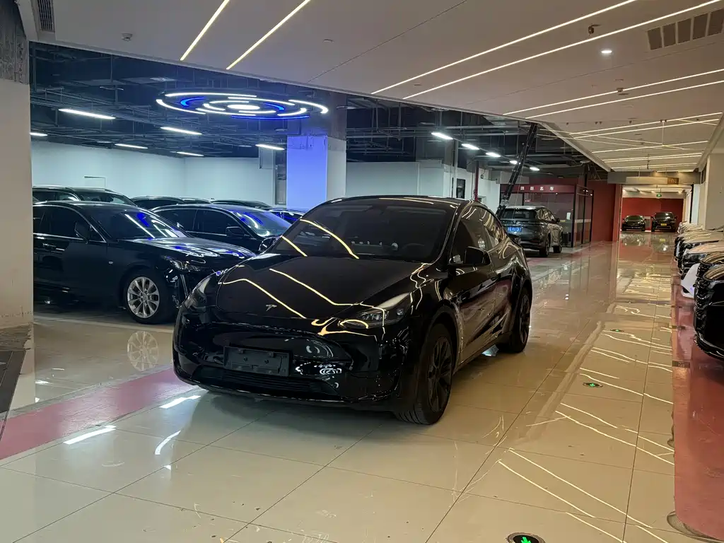 Model Y 2024 rear-wheel drive version купить на сайте DeffCars