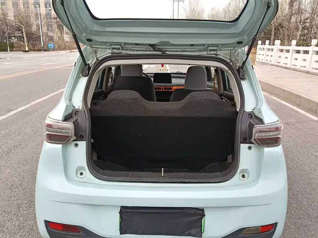 Reading Mango 2021 Qumang Yuedong Edition 200km купить на сайте DeffCars