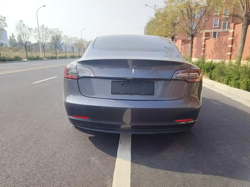 Model 3 2019 standard range rear drive upgraded version купить на сайте DeffCars