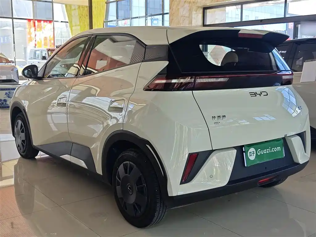Seagull 2025 305km active version купить на сайте DeffCars