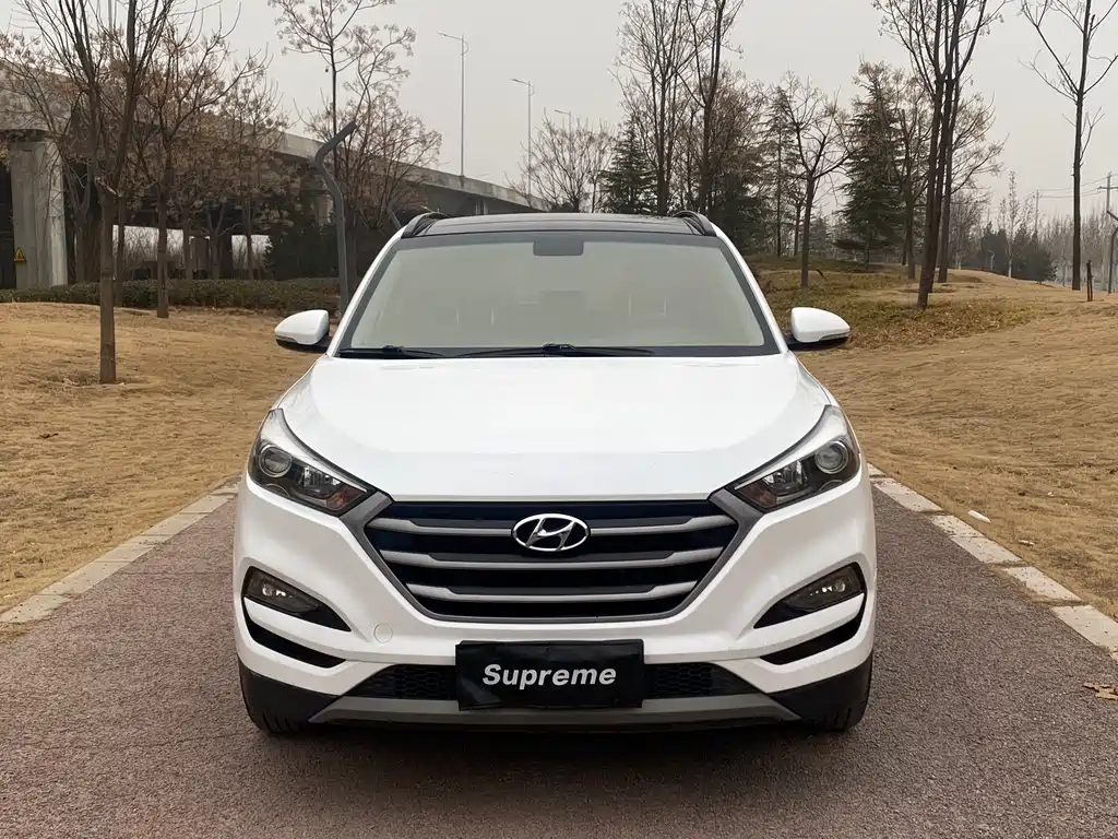 Tucson 2018 1.6T dual-clutch two-wheel drive 15th anniversary special edition купить на сайте DeffCars