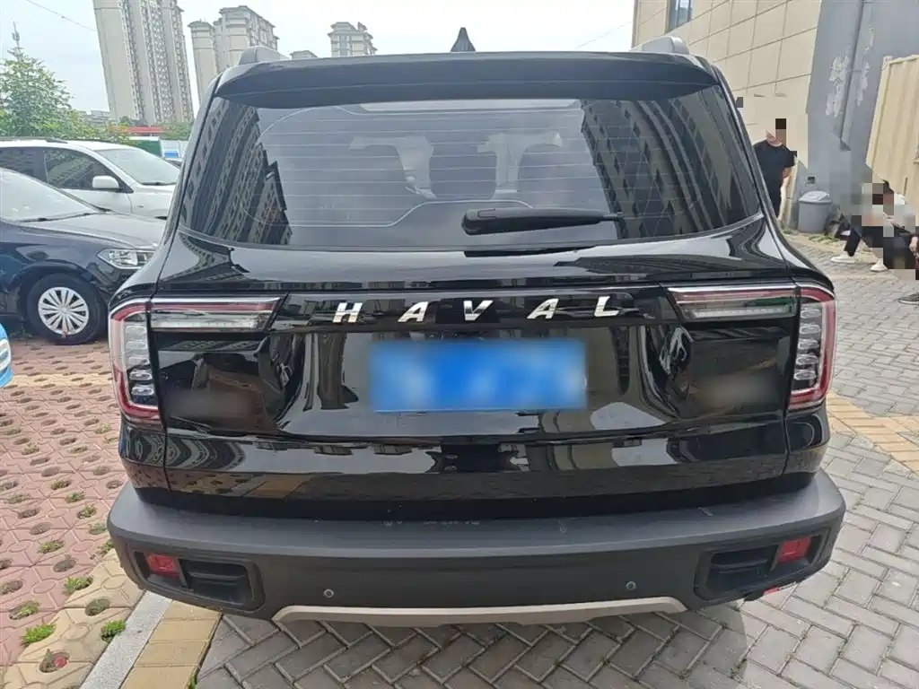 Havaldog 2022 1.5T DCT two-wheel drive Labrador version купить на сайте DeffCars