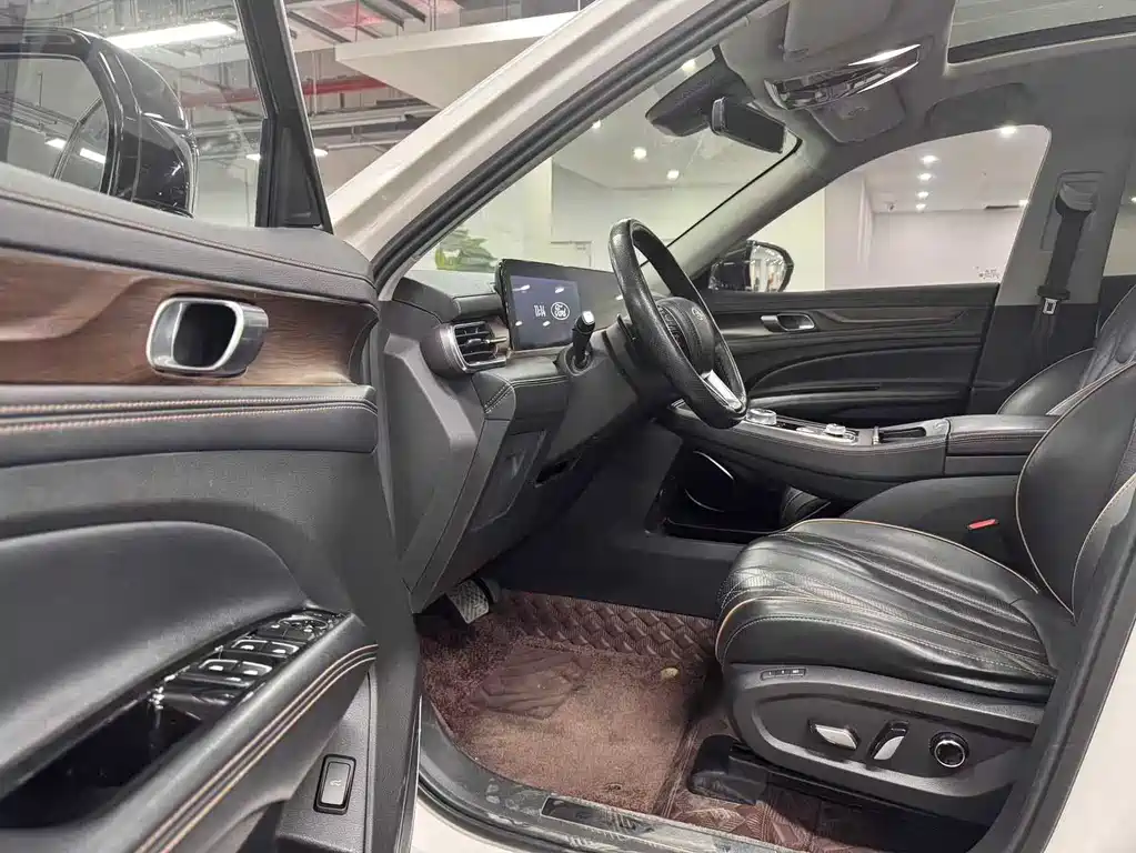 Lingyu 2021 EcoBoost 225 Collar Type PLUS 6-seater купить на сайте DeffCars