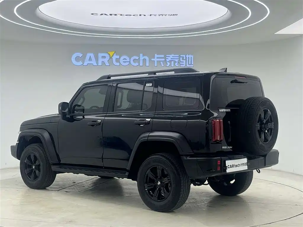 Tank 300 2025 2.0T Gasoline Conqueror купить на сайте DeffCars