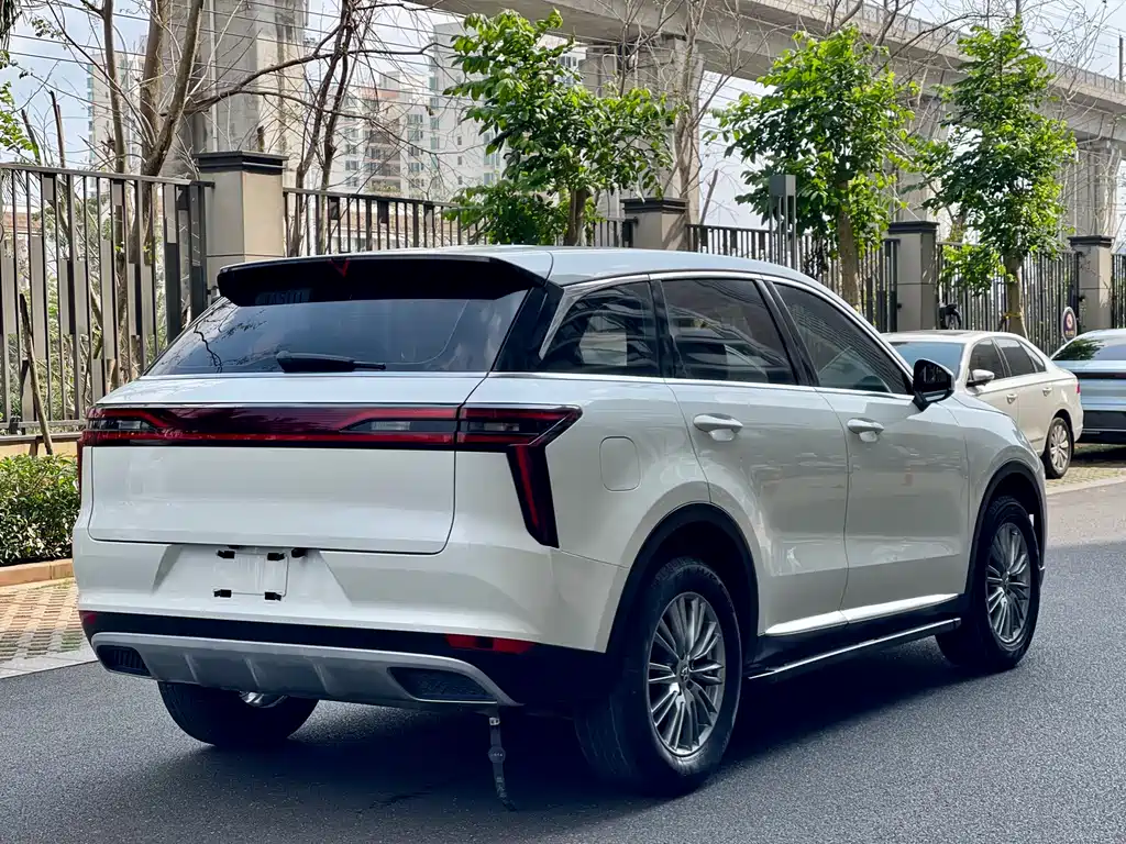 Venucia 2021 260T Automatic Xingshang Edition купить на сайте DeffCars