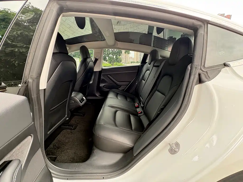 Model 3 2019 standard range rear drive upgraded version купить на сайте DeffCars