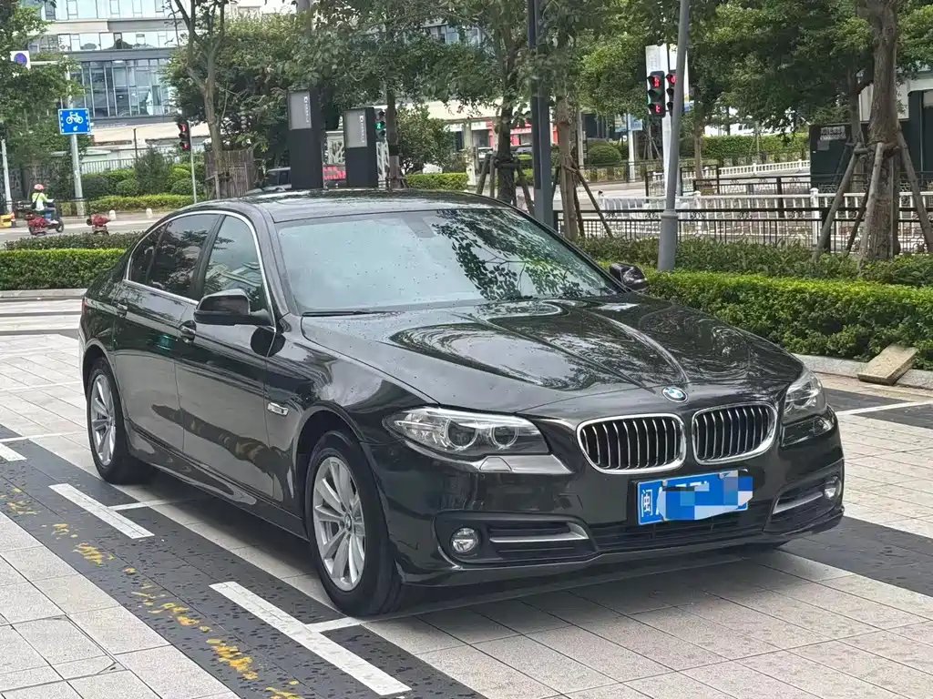 BMW 5 Series 2014 520Li Elegant купить на сайте DeffCars