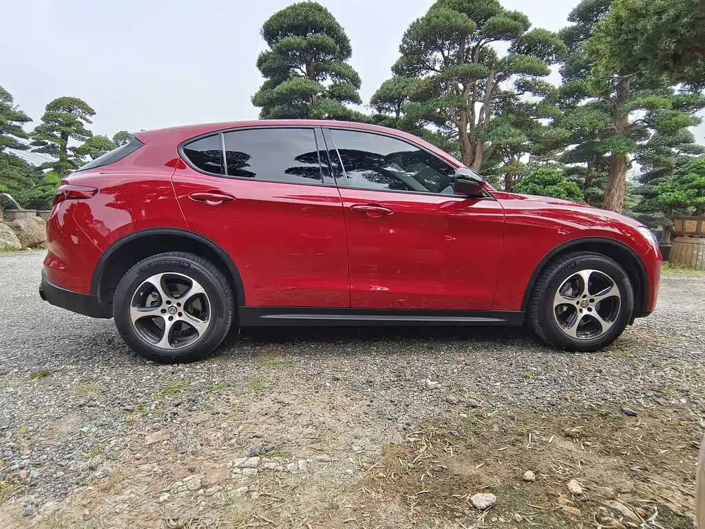 Stelvio 2017 2.0T 200HP Elite Edition купить на сайте DeffCars