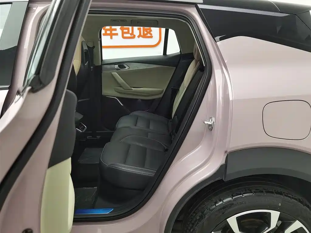 Lynk & Co 06 2021 1.5T Shero Pink Special Edition купить на сайте DeffCars