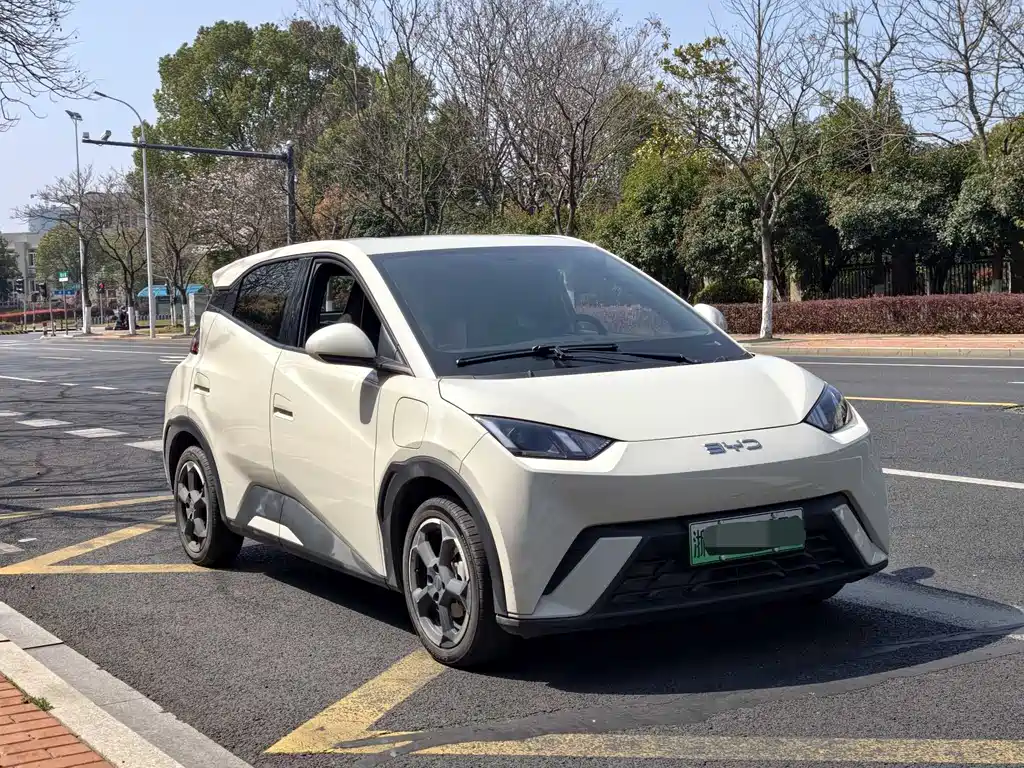 Seagull 2024 Honor Edition 305km Free Edition купить на сайте DeffCars
