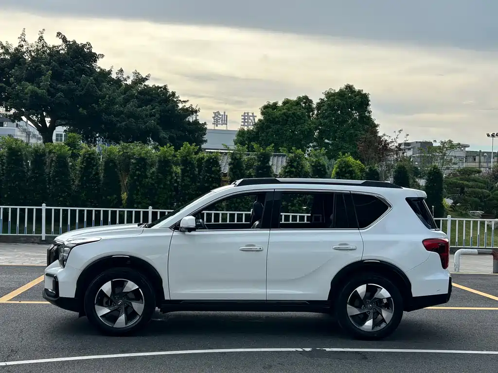 Trumpchi GS8 2020 GS8S 390T 2WD Luxury Smart Connected Edition купить на сайте DeffCars