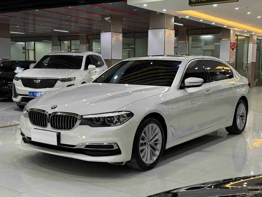 BMW 5 Series 2019 530Li Leading Luxury Package купить на сайте DeffCars