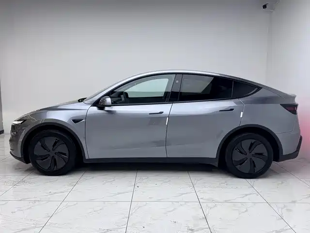 Model Y 2025 rear-wheel drive version купить на сайте DeffCars