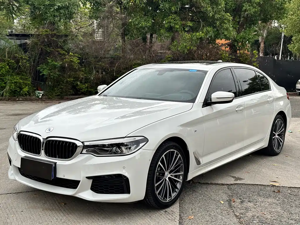 BMW 5 Series 2020 530Li Exclusive M Sports Package купить на сайте DeffCars