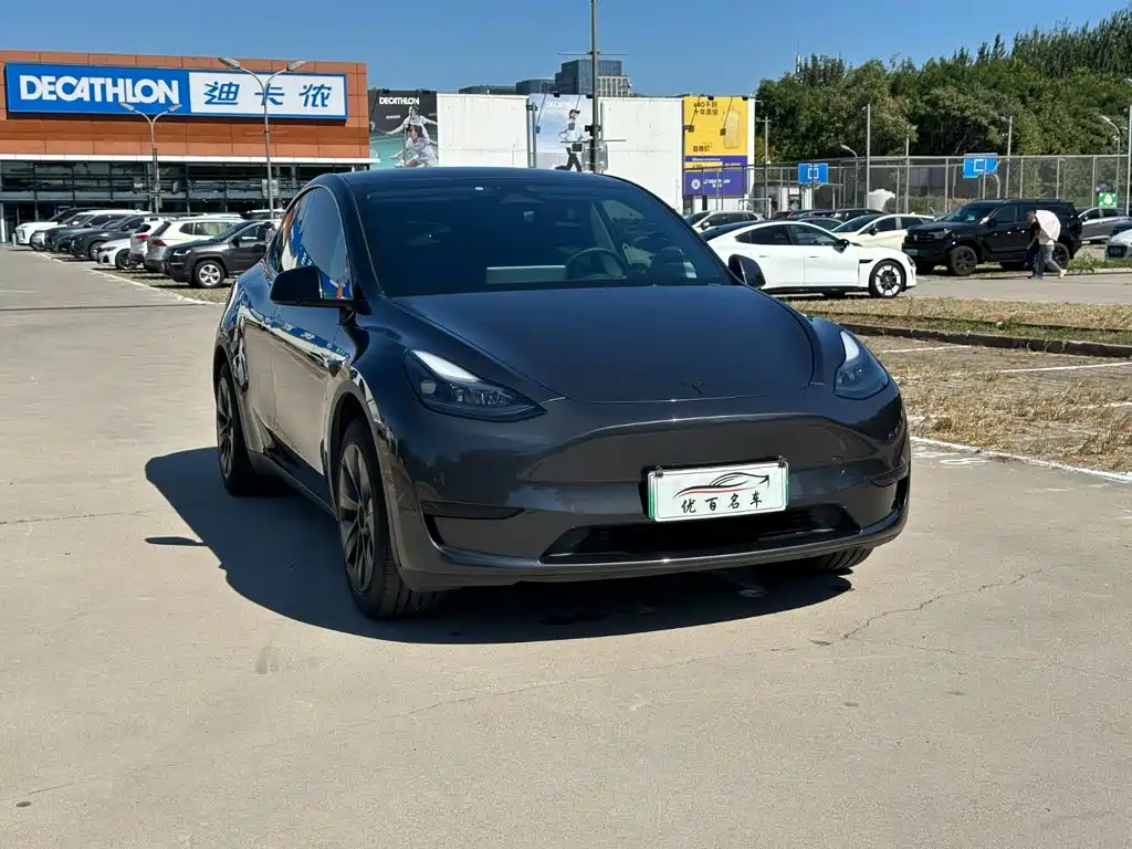 Model Y 2024 rear-wheel drive version купить на сайте DeffCars