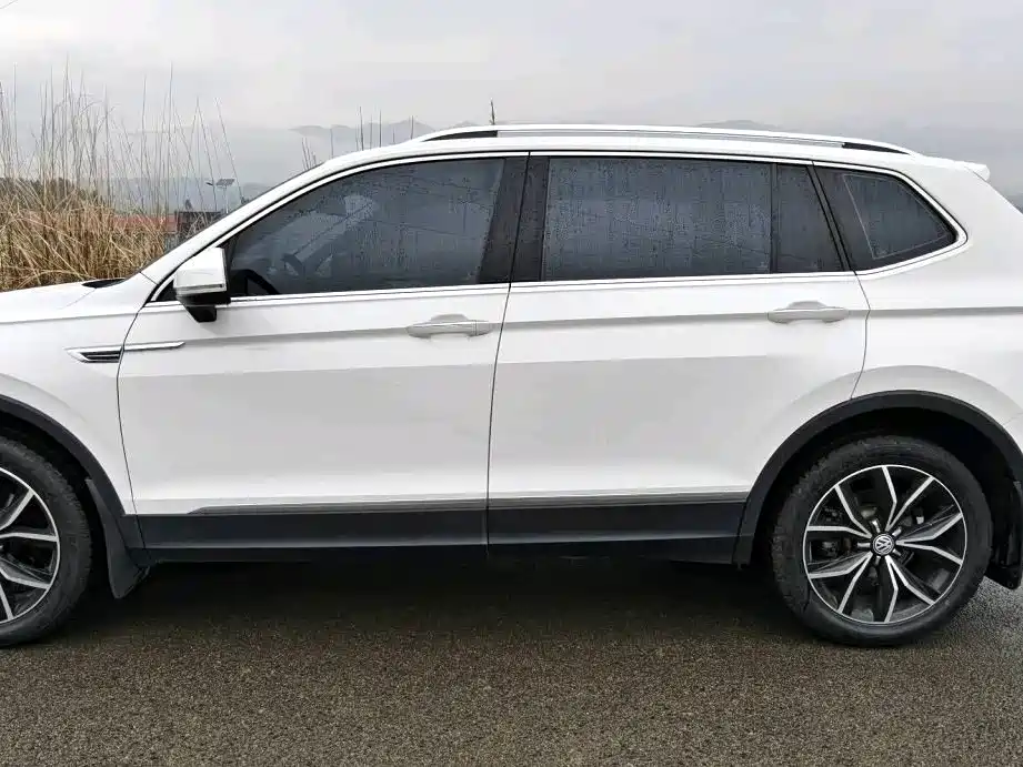 Tiguan L 2020 330TSI automatic two-wheel drive smart luxury version National VI купить на сайте DeffCars