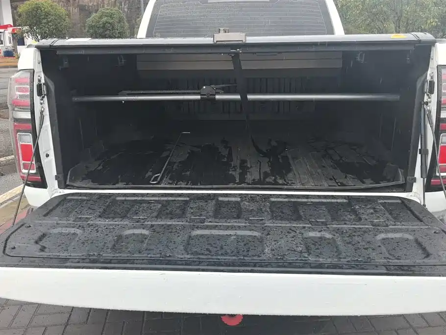 Cannon 2023 2.0T passenger version automatic diesel four-wheel drive comfort type GW4D20M купить на сайте DeffCars