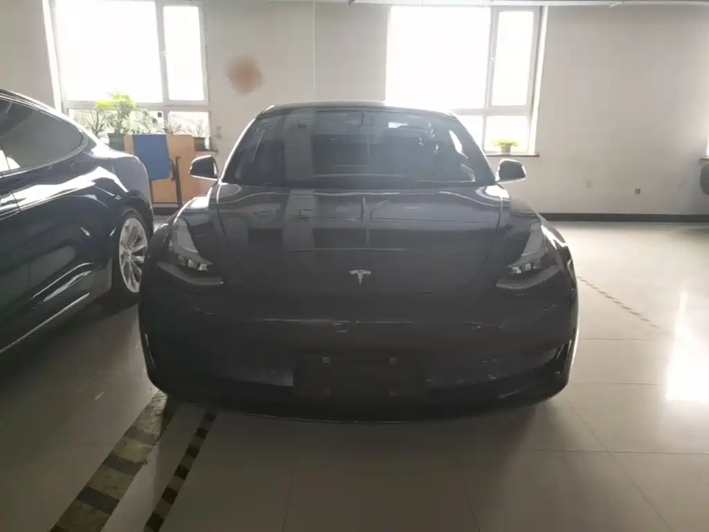 Model 3 2020 Standard Range Rear Drive Upgraded Version купить на сайте DeffCars