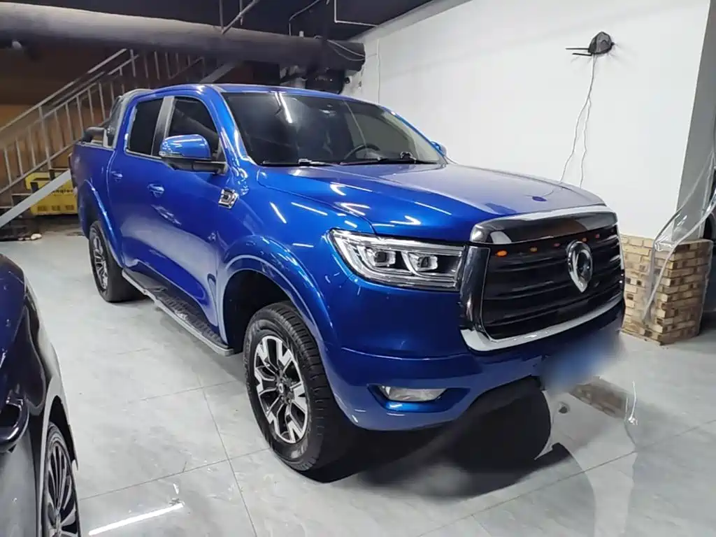 Cannon 2019 2.0T automatic gasoline four-wheel drive comfort version GW4C20B купить на сайте DeffCars