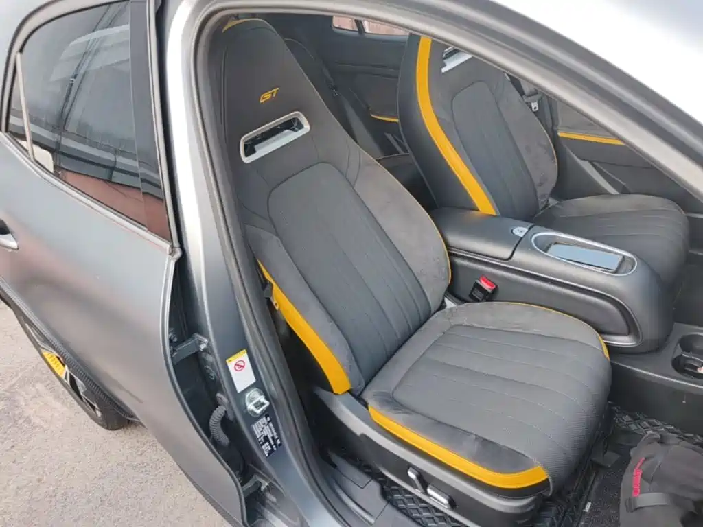Euler Good Cat GT 2023 Mulan Edition 401km Premium Model купить на сайте DeffCars