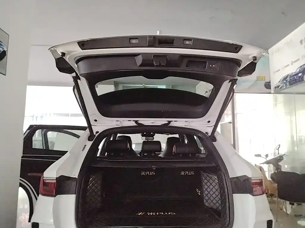 Song PLUS 2020 1.5T automatic flagship model купить на сайте DeffCars