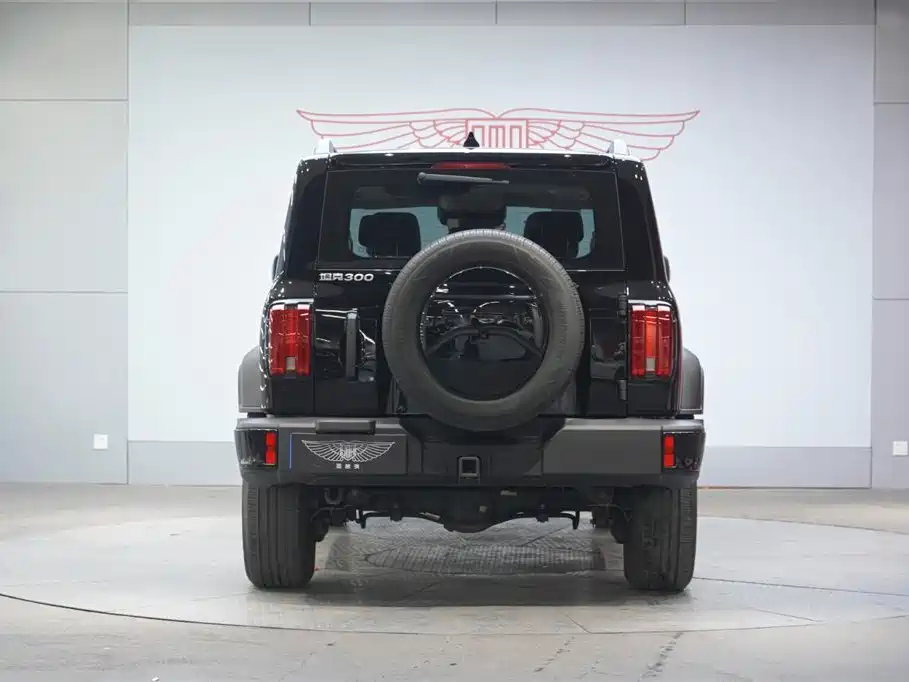 Tank 300 2024 2.0T Conqueror купить на сайте DeffCars