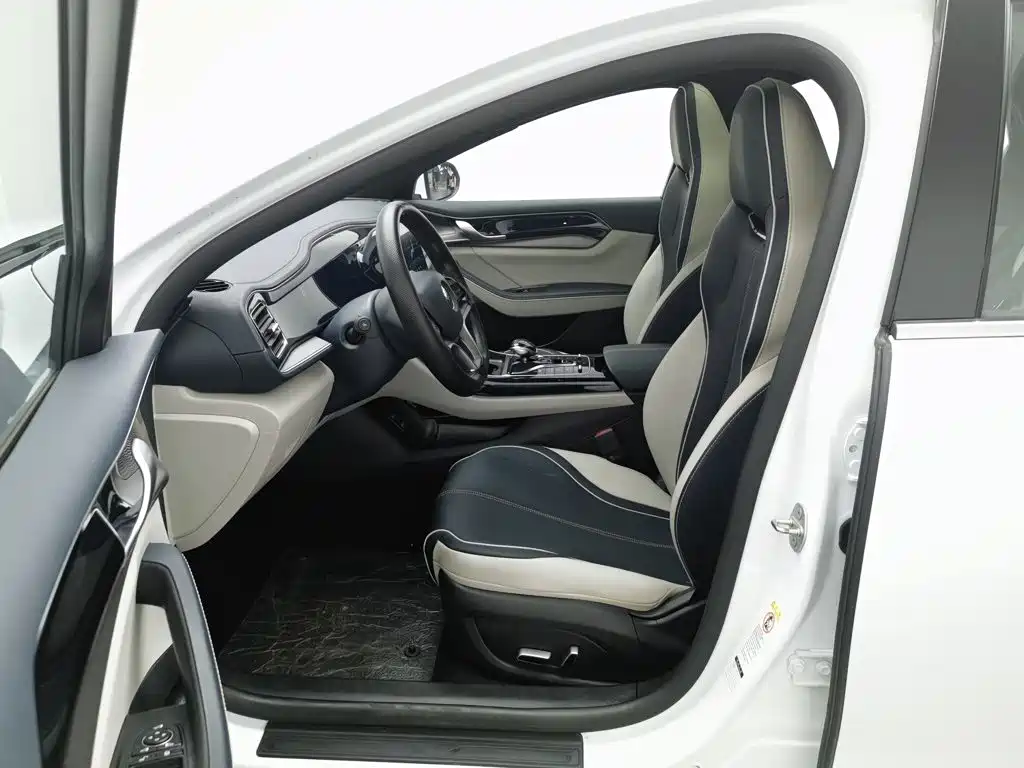Qin PLUS 2021 EV 500KM luxury model купить на сайте DeffCars