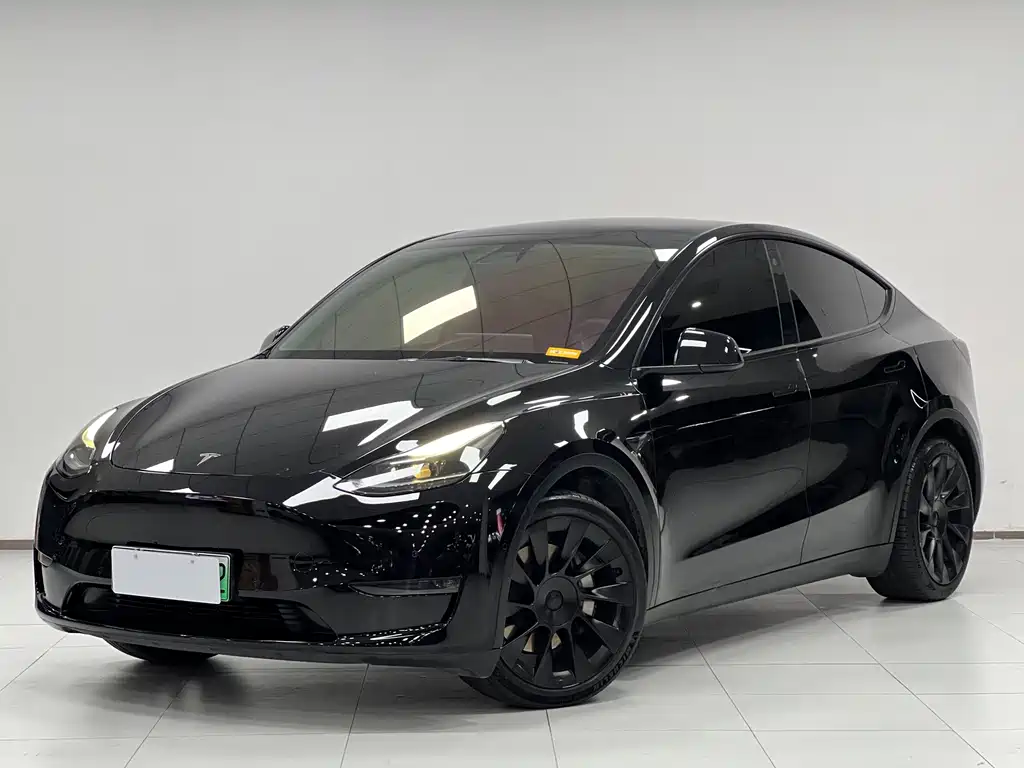 Model Y 2021 standard range rear-wheel drive version купить на сайте DeffCars