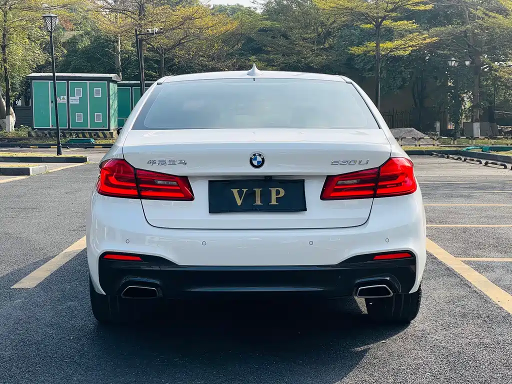 BMW 5 Series 2020 530Li Leading M Sports Package купить на сайте DeffCars