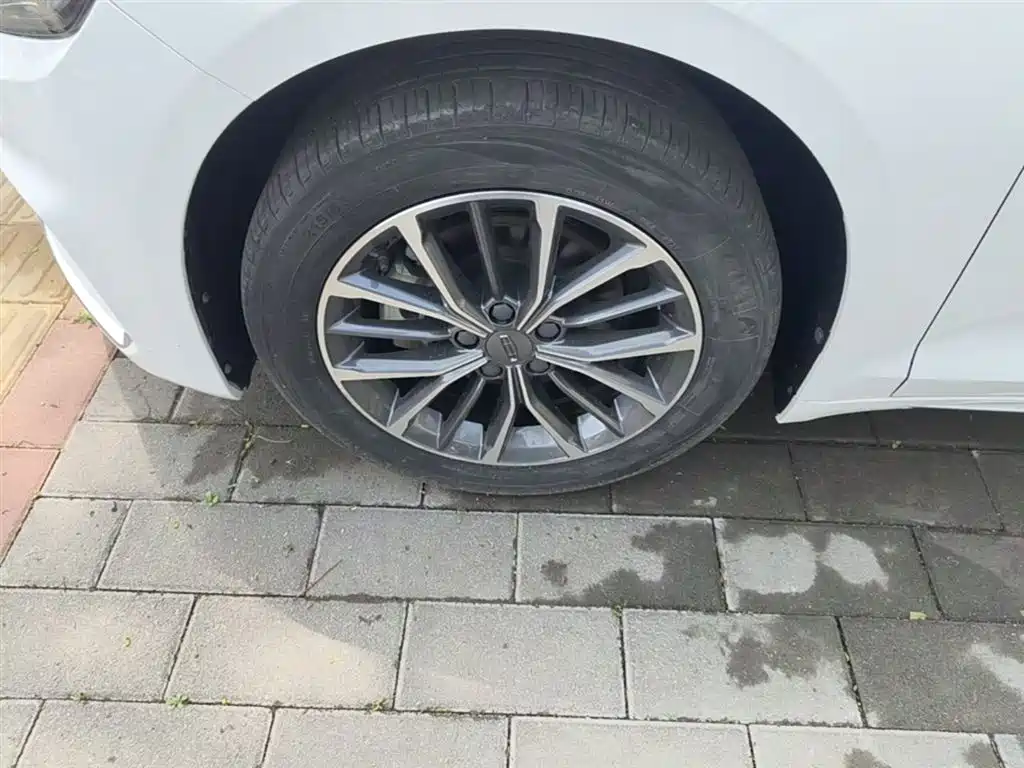 Xingrui 2021 2.0TD luxury model купить на сайте DeffCars