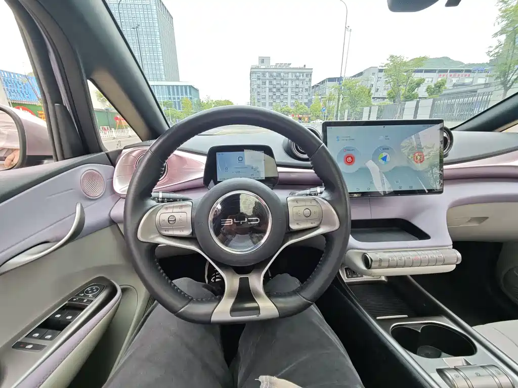 Dolphin 2021 405km fashion version купить на сайте DeffCars