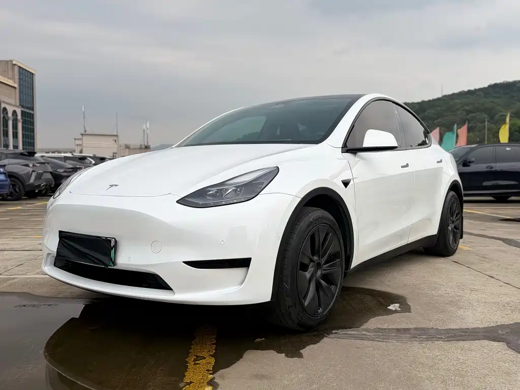 Model Y 2023 rear-wheel drive version купить на сайте DeffCars