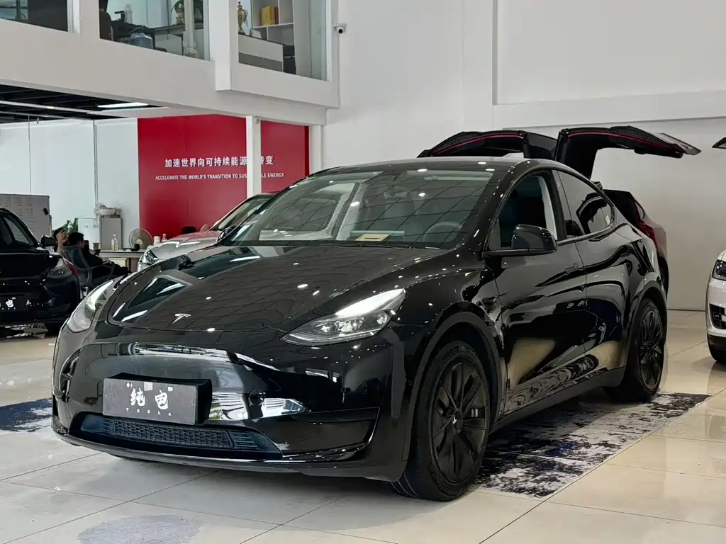 Model Y 2022 rear-wheel drive version купить на сайте DeffCars