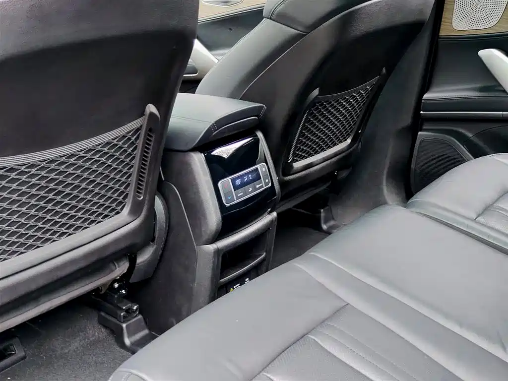 Denza X 2020 PHEV flagship version купить на сайте DeffCars