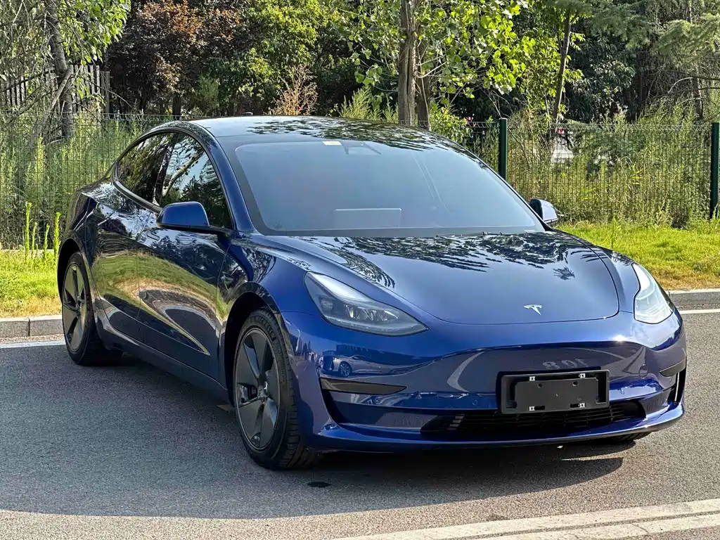 Standard Range Rear Drive Upgrade for Model 3 2020 купить на сайте DeffCars