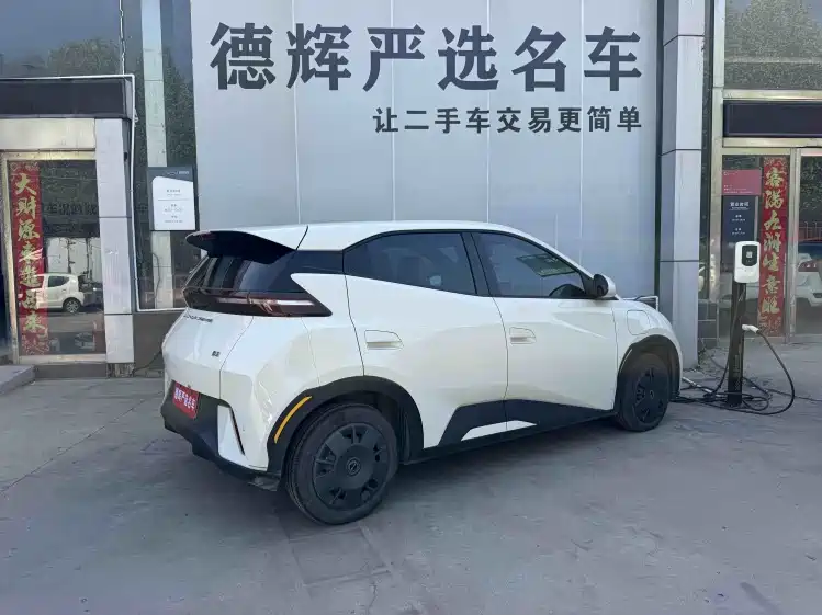 Seagull 2023 Vitality Edition купить на сайте DeffCars