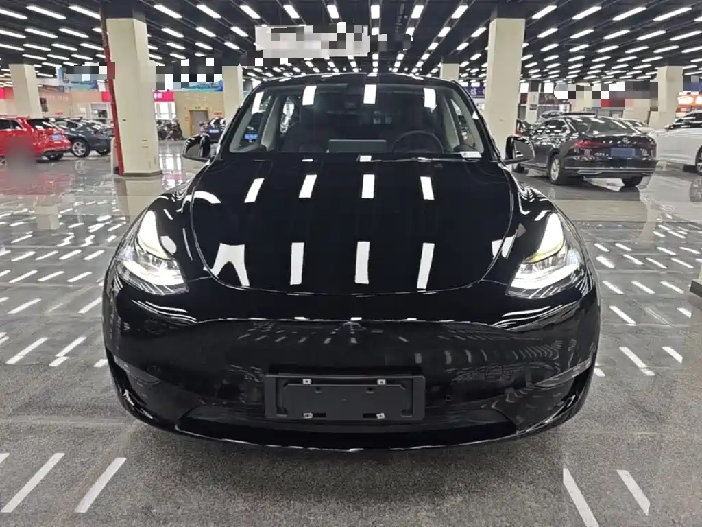 Model Y 2021 Standard Range Rear Drive Edition купить на сайте DeffCars