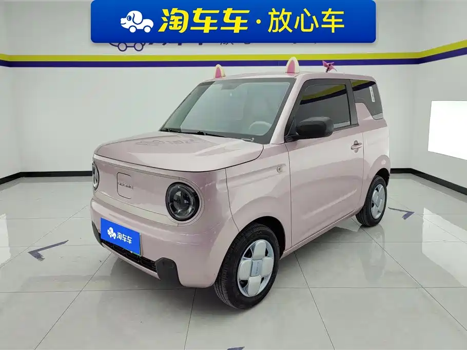 Panda 2023 Panda mini 200km endurance bear купить на сайте DeffCars