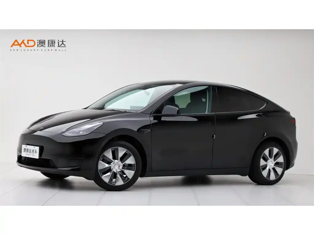 TeslaModel Y/22/modified rear-wheel drive version купить на сайте DeffCars