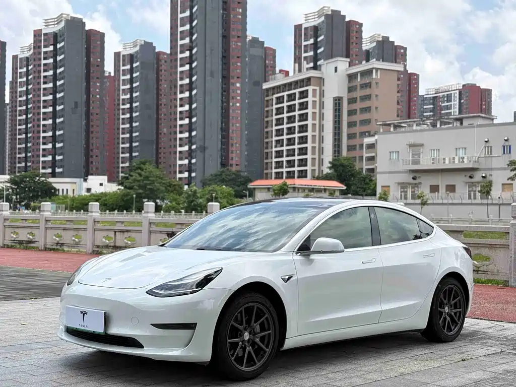 Model 3 imported 2019 standard range rear drive upgraded version купить на сайте DeffCars